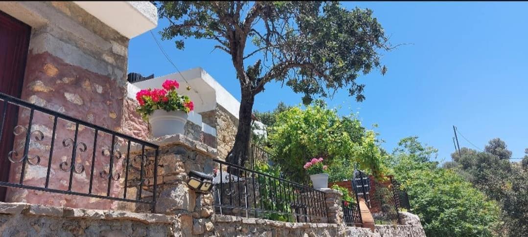 Villa Sarichel Nikithianos Екстериор снимка